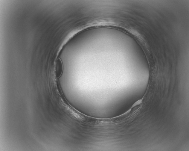 X0000052551374200507152148