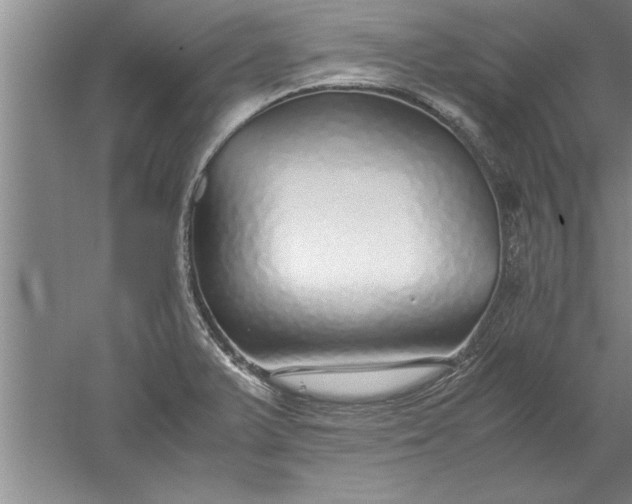 X0000052551375200507152148