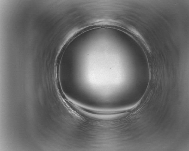 X0000052551376200507152148