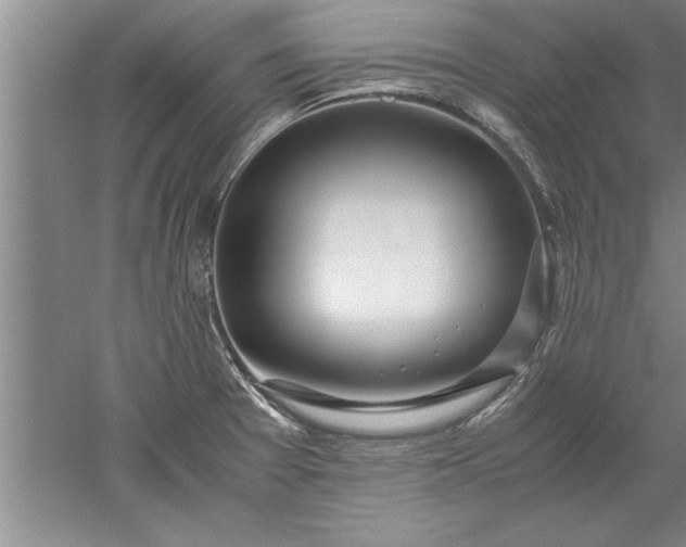 X0000052551377200507152148