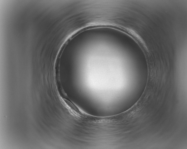 X0000052551380200507152148