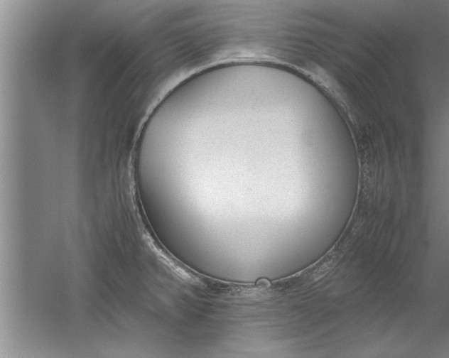 X0000052551382200507152148