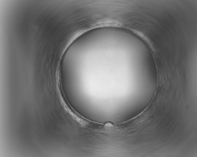 X0000052551383200507152148