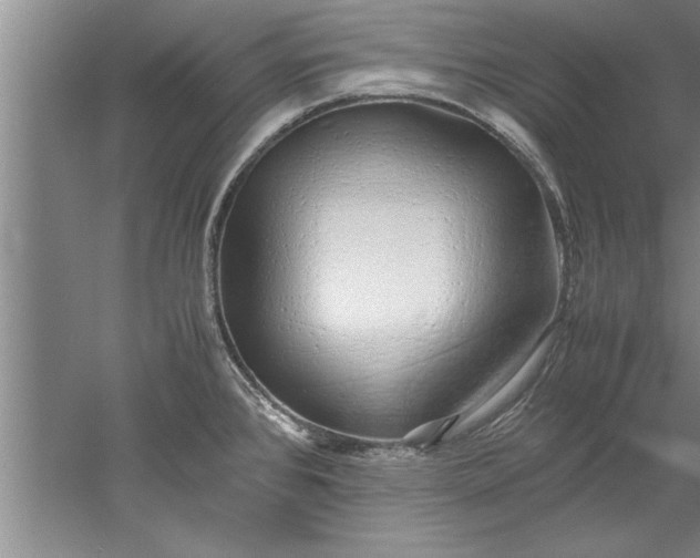 X0000052551384200507152148