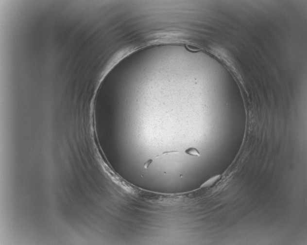 X0000052551386200507152148