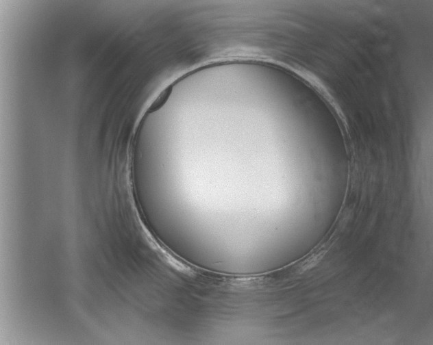 X0000052551390200507152148