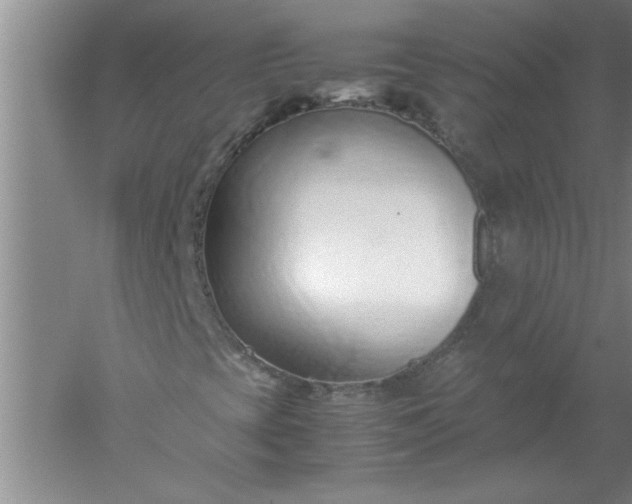 X0000052551393200507152147