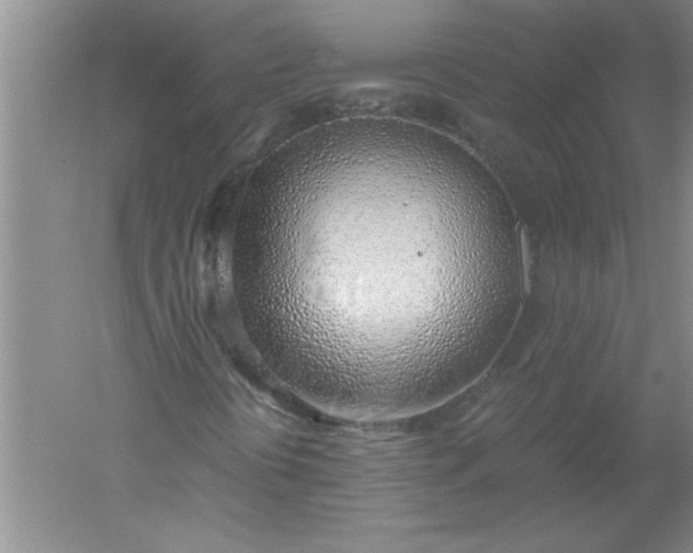 X0000052551394200507152147