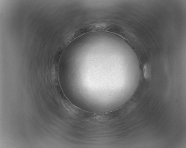 X0000052551395200507152147