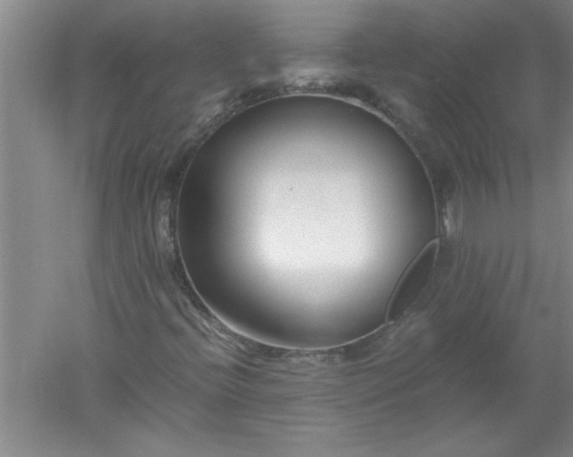 X0000052551396200507152147