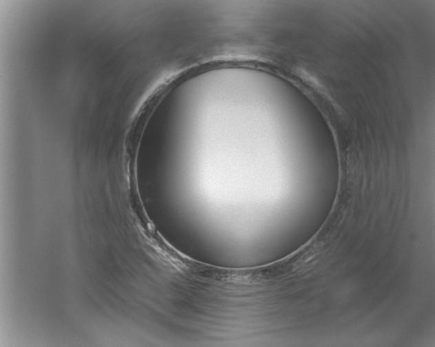 X0000052551408200507152147