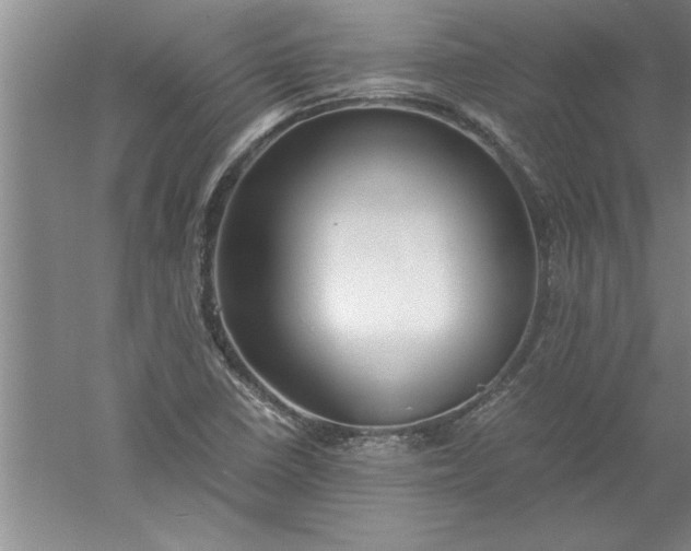 X0000052551410200507152147