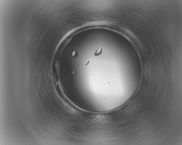 X0000052551412200507152148