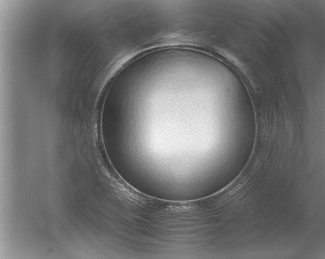 X0000052551415200507152148