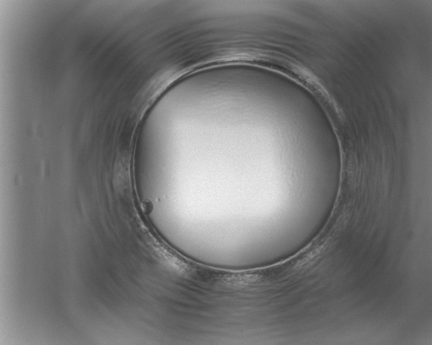 X0000052551417200507152148