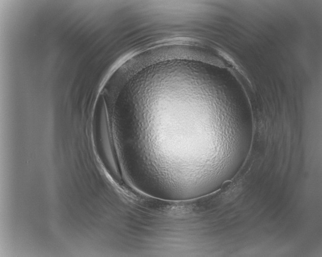 X0000052551418200507152148