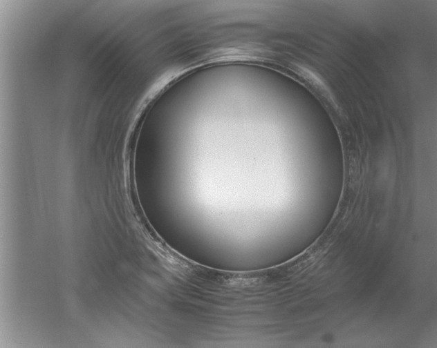 X0000052551419200507152148