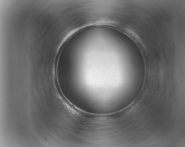 X0000052551420200507152148