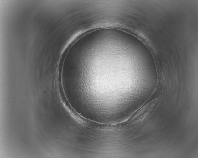 X0000052551422200507152148