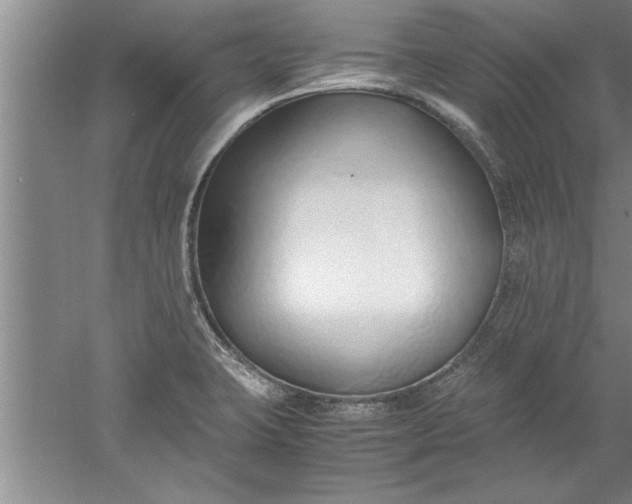 X0000052551423200507152148