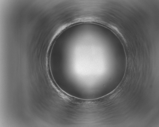 X0000052551424200507152148