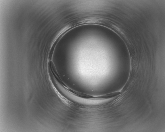 X0000052551426200507152148