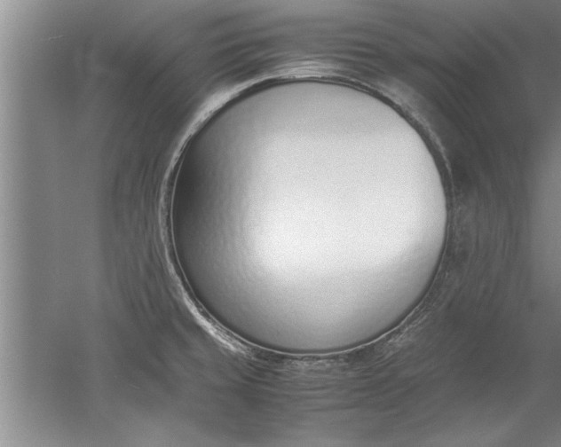 X0000052551429200507152148