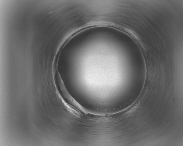 X0000052551430200507152148