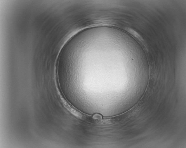 X0000052551431200507152148