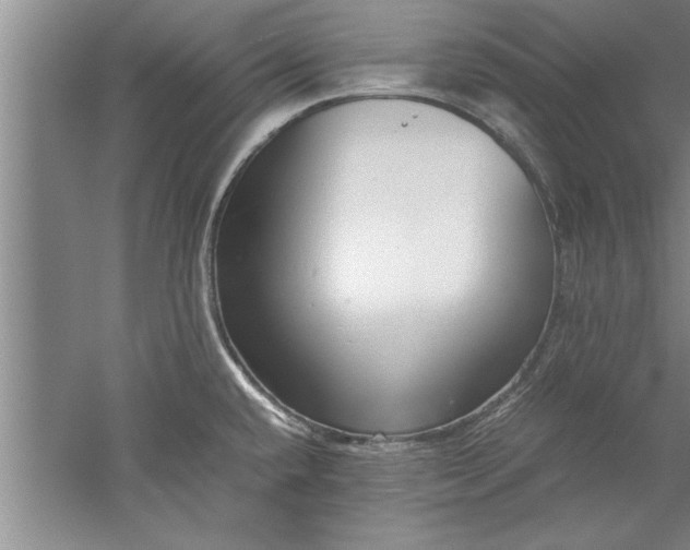 X0000052551432200507152148