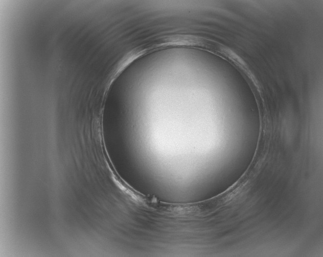 X0000052551433200507152148