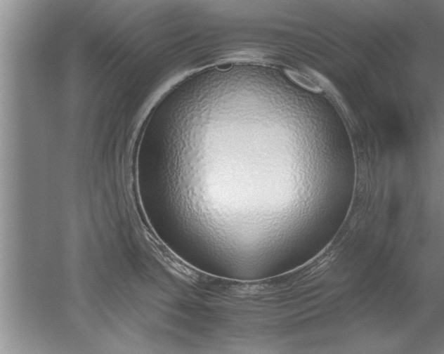 X0000052551435200507152148