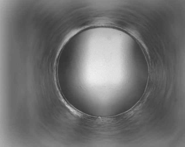 X0000052551437200507152148