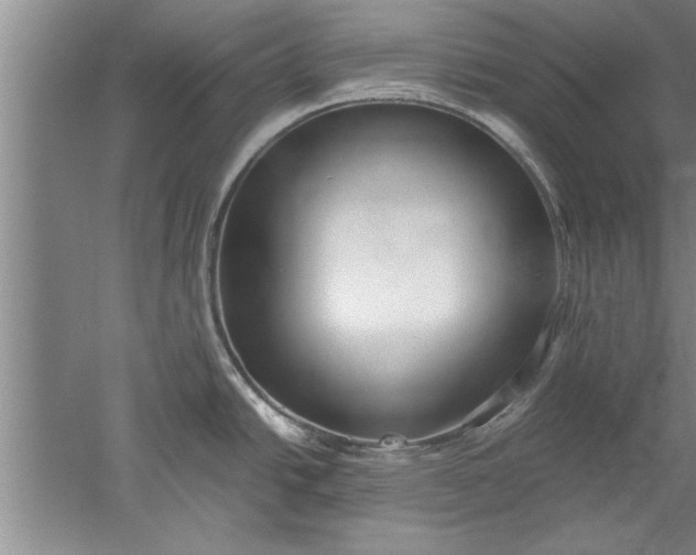 X0000052551438200507152148