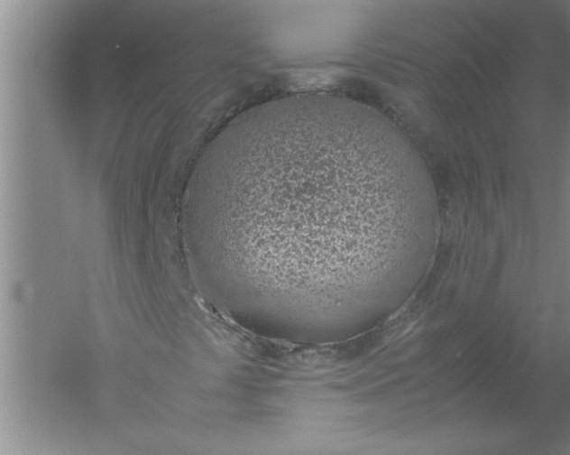 X0000052551441200507152147