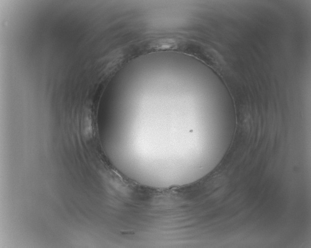 X0000052551442200507152147