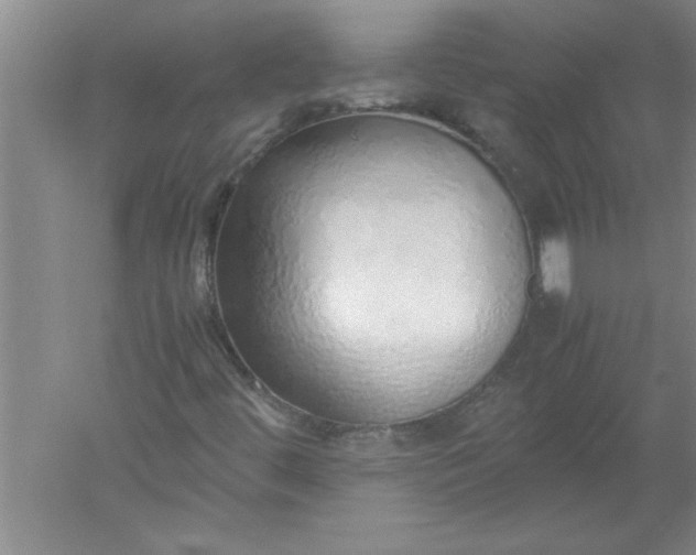 X0000052551444200507152147