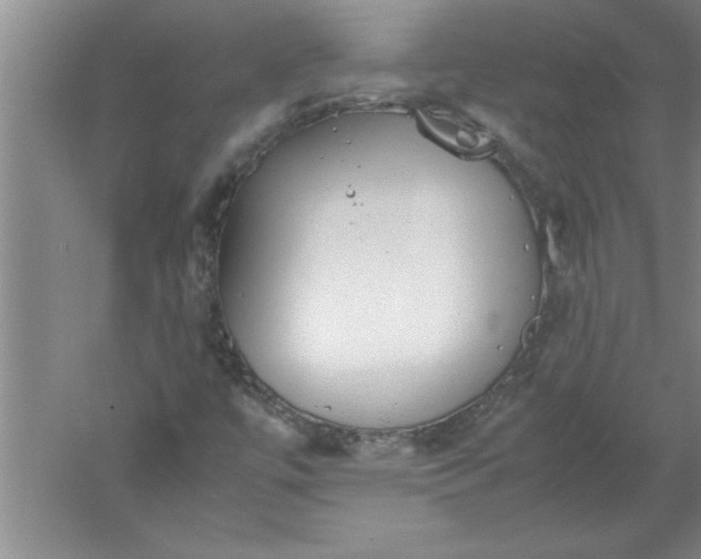 X0000052551447200507152147