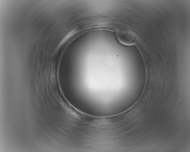 X0000052551450200507152147