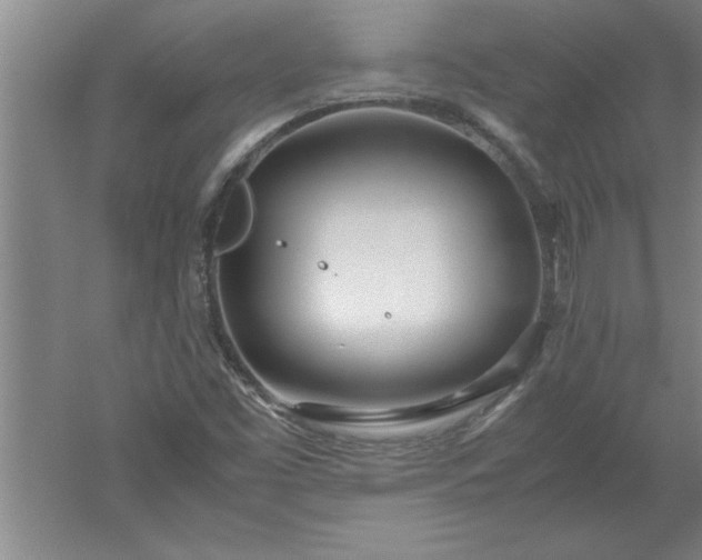 X0000052551453200507152147