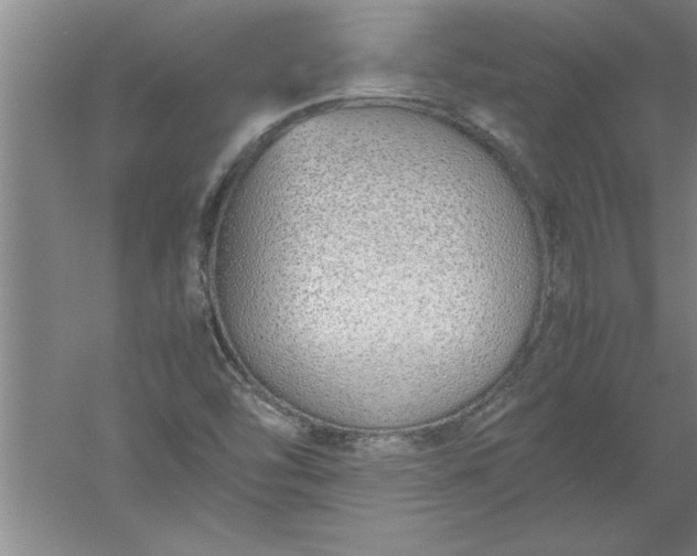 X0000052551454200507152147