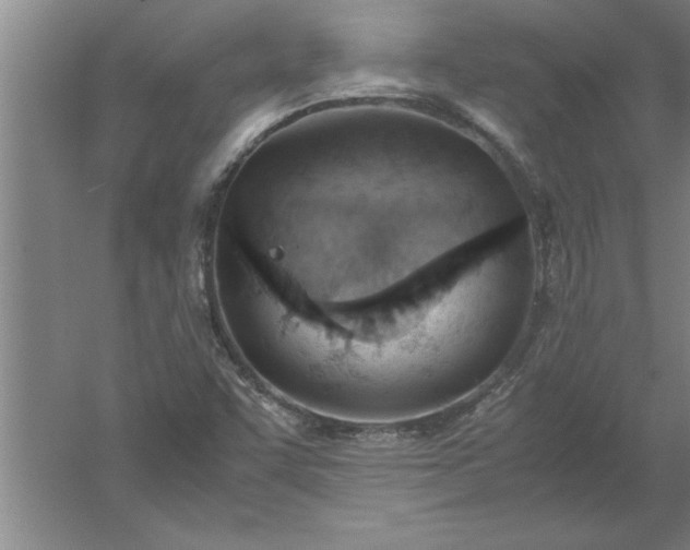 X0000052551455200507152147