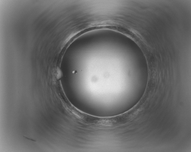 X0000052551457200507152147