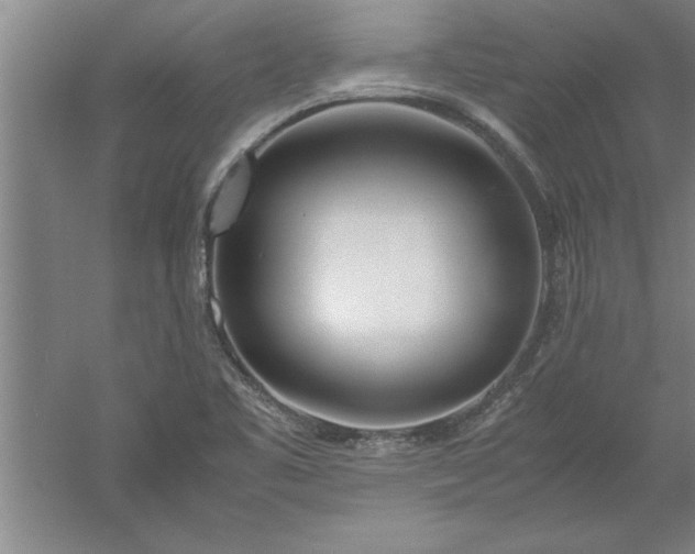 X0000052551461200507152147