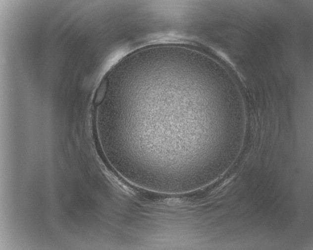 X0000052551463200507152147