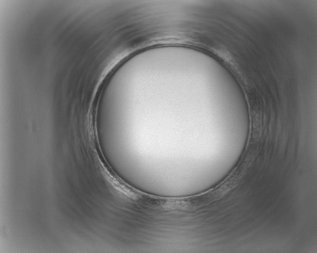 X0000052551466200507152147