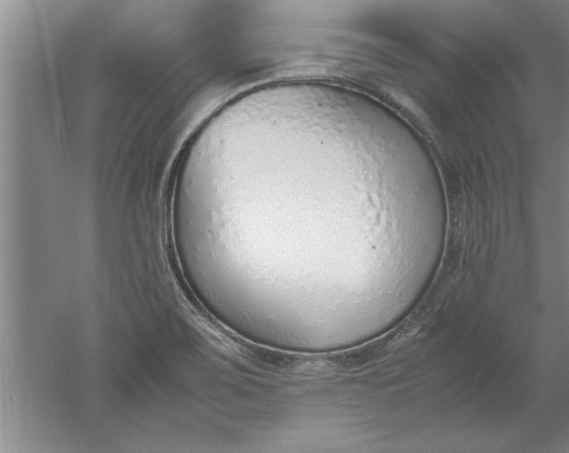 X0000052551467200507152147