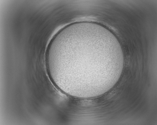 X0000052551470200507152147