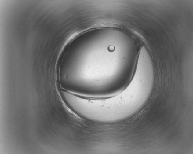 X0000052551471200507152147