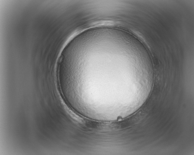 X0000052551475200507152147